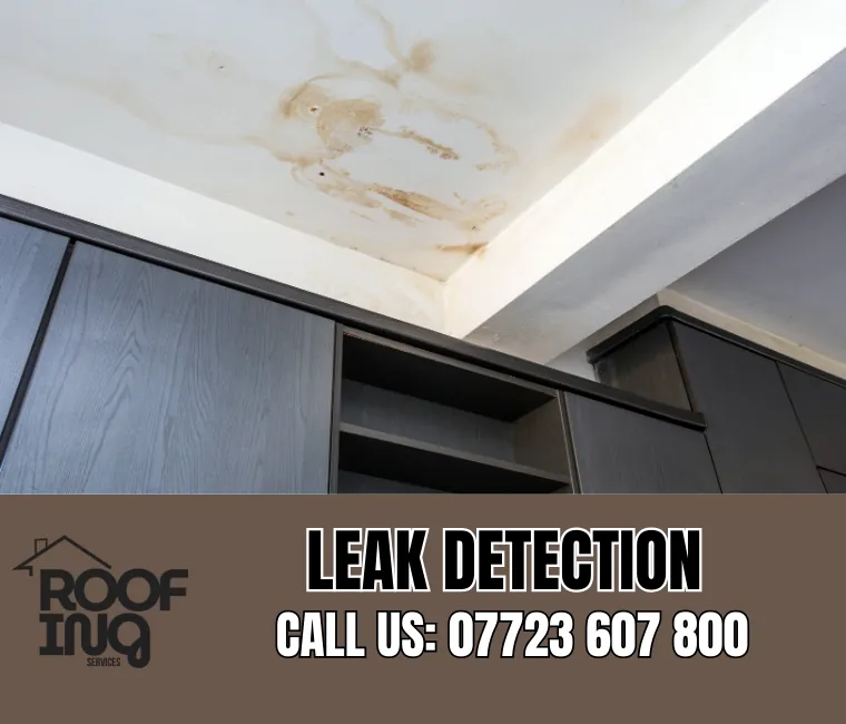 Roof Leak Detection in St Blazey
