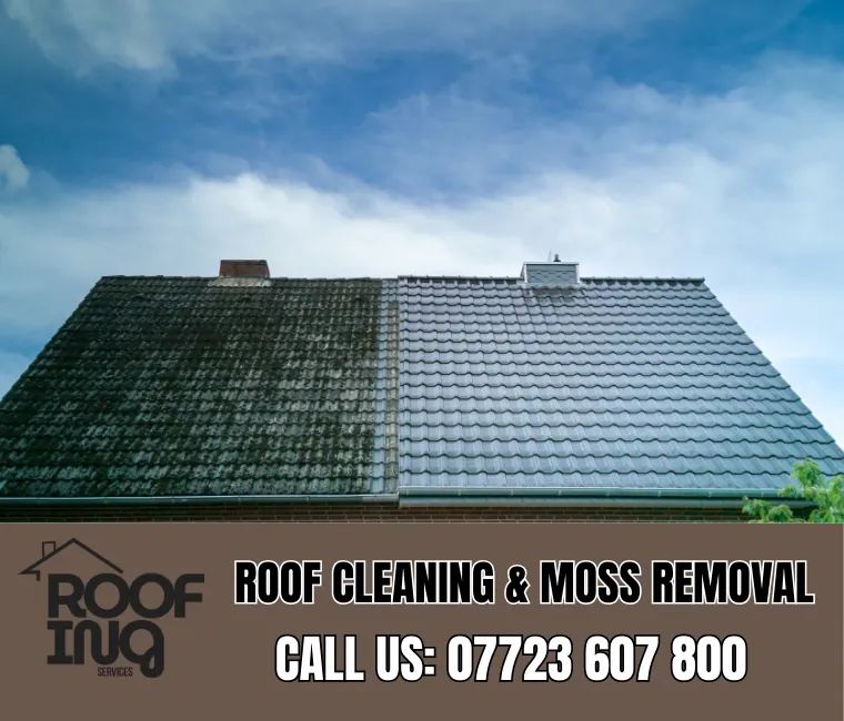 Roof cleaning and moss removal in St Blazey
